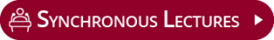 Synchronous Lectures