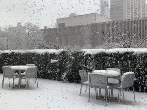 February 2026: Class Notes